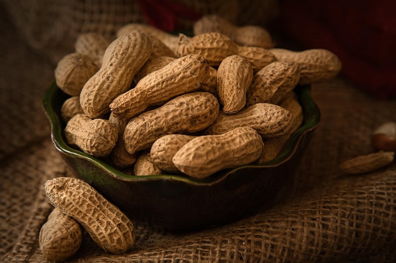 Healthy Snacks